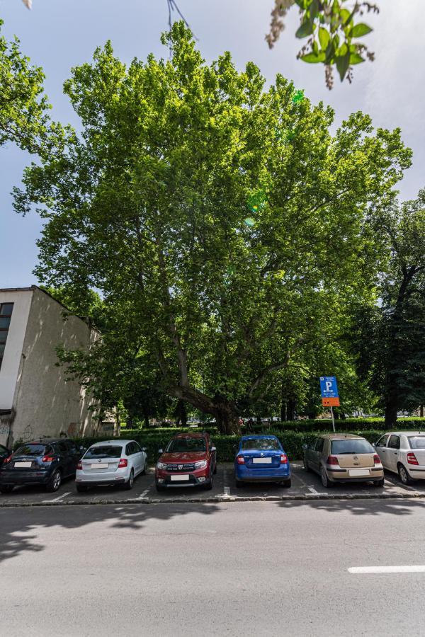 Sabin Apartments Private Parking Braşov Eksteriør billede